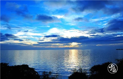 640.webp (4)