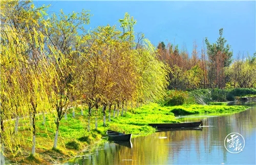 640.webp (2)
