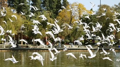 640.webp