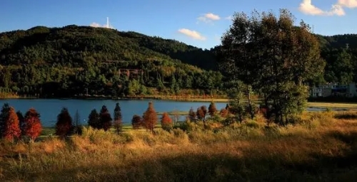 640.webp (17)