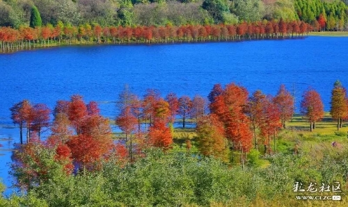 640.webp (22)