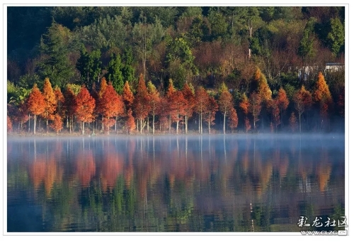 640.webp (25)