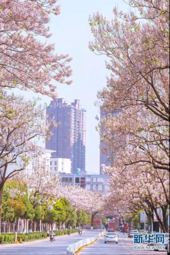 微信图片_20210408094438
