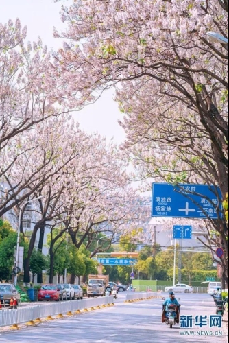 微信图片_20210408094442