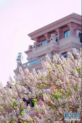 微信图片_20210408094446