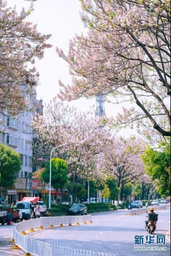 微信图片_20210408094457