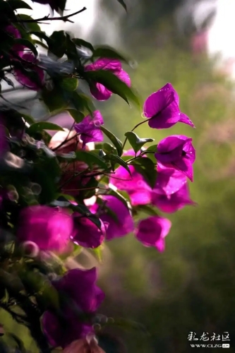 640.webp (1)