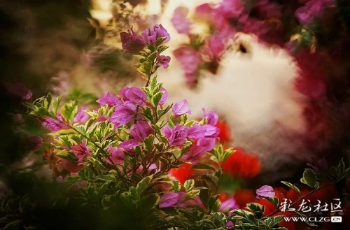 640.webp (2)