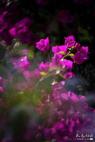 640.webp (3)