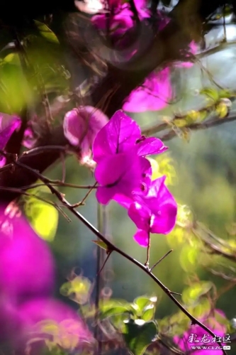 640.webp (4)