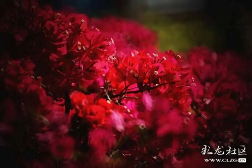640.webp (5)