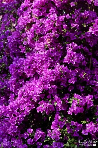 640.webp (6)