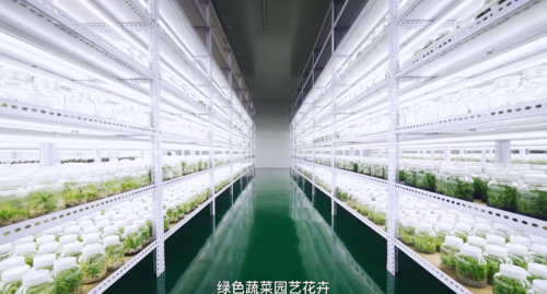 微信图片_20220120141709