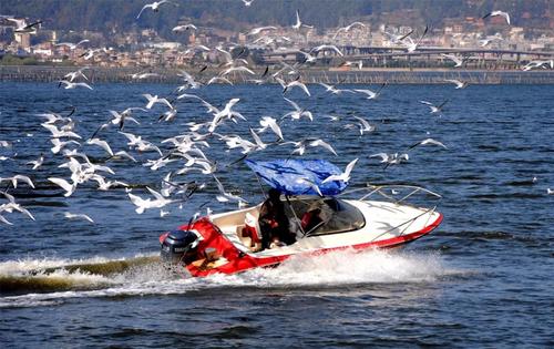 640.webp (2) 640.webp (2)