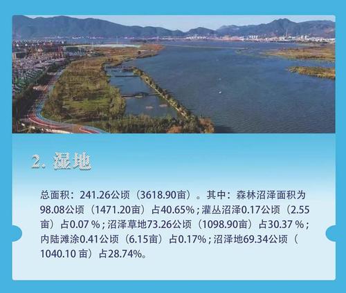 老人家收_三调_页面_04