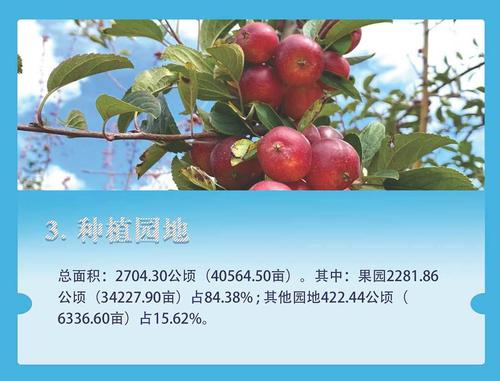 老人家收_三调_页面_05