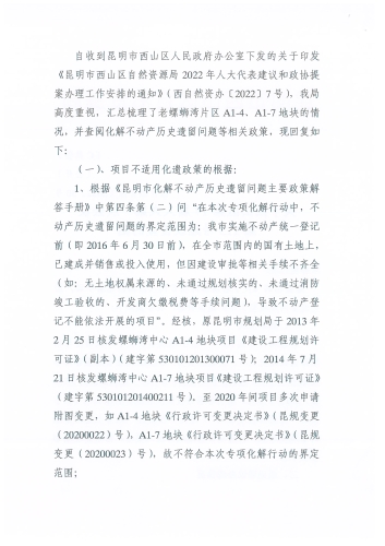 关于老螺蛳湾项目类如西山区化解不动产历史遗留问题的攻坚工作的回复_页面_2