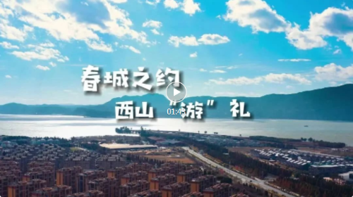 微信截图_20230717111046