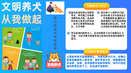 文明养犬