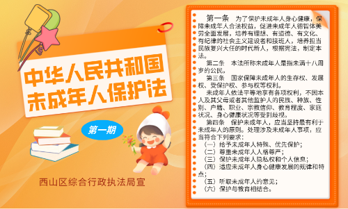 中华人民共和国未成年人保护法（1）