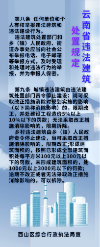 云南省违法建筑处置规定