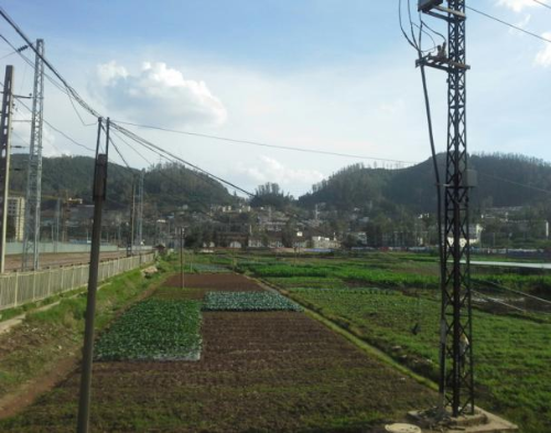 碧鸡关