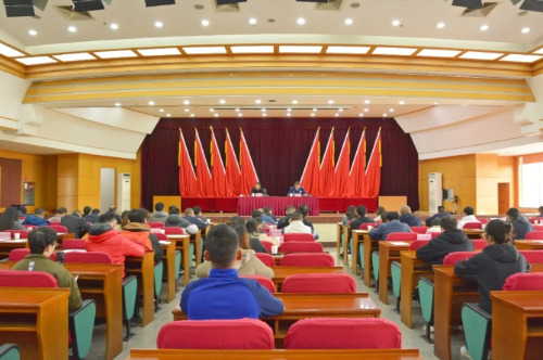 微信截图_20241203194636