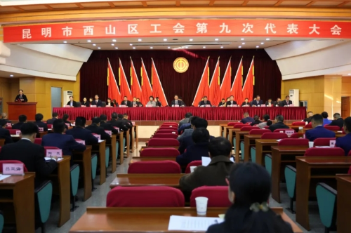 微信截图_20241203195216