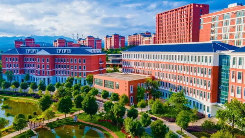 图片8