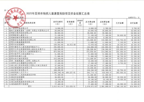 2025年昆明市残疾儿童康复救助项目资金结算汇总表