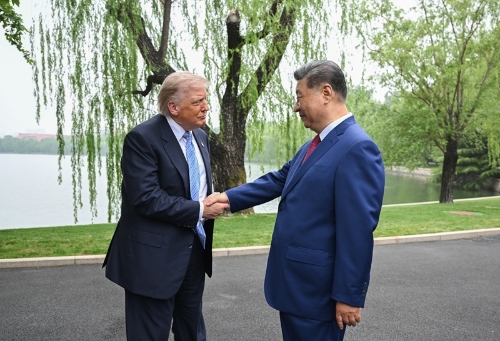 图片3